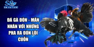 Đá Gà Đòn