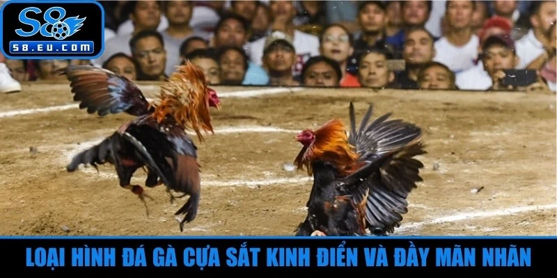 Loại hình đá gà cựa sắt kinh điển và đầy mãn nhãn