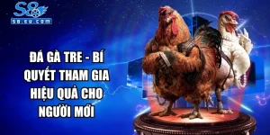 Đá Gà Tre