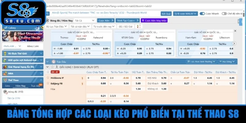 Bảng tổng hợp các loại kèo phổ biến tại thể thao S8
